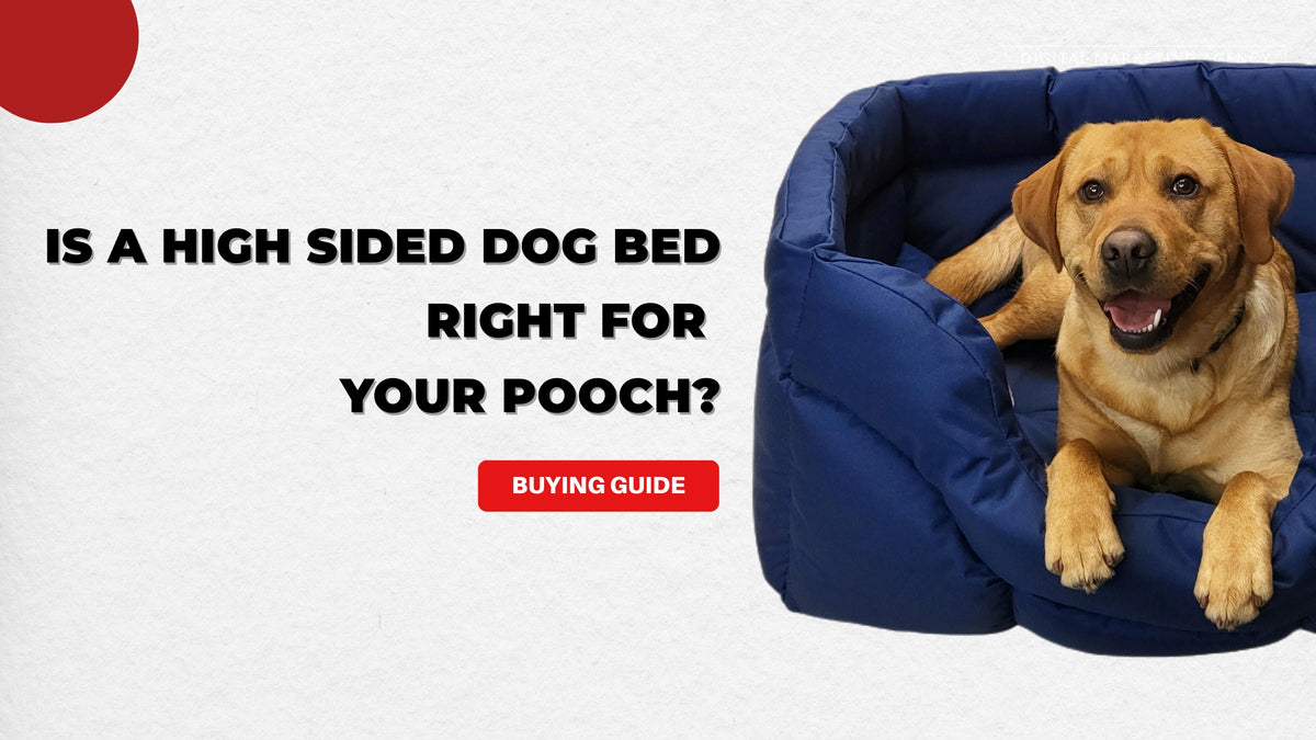 Is a High sided dog bed right for your pooch P L Country Dog Beds