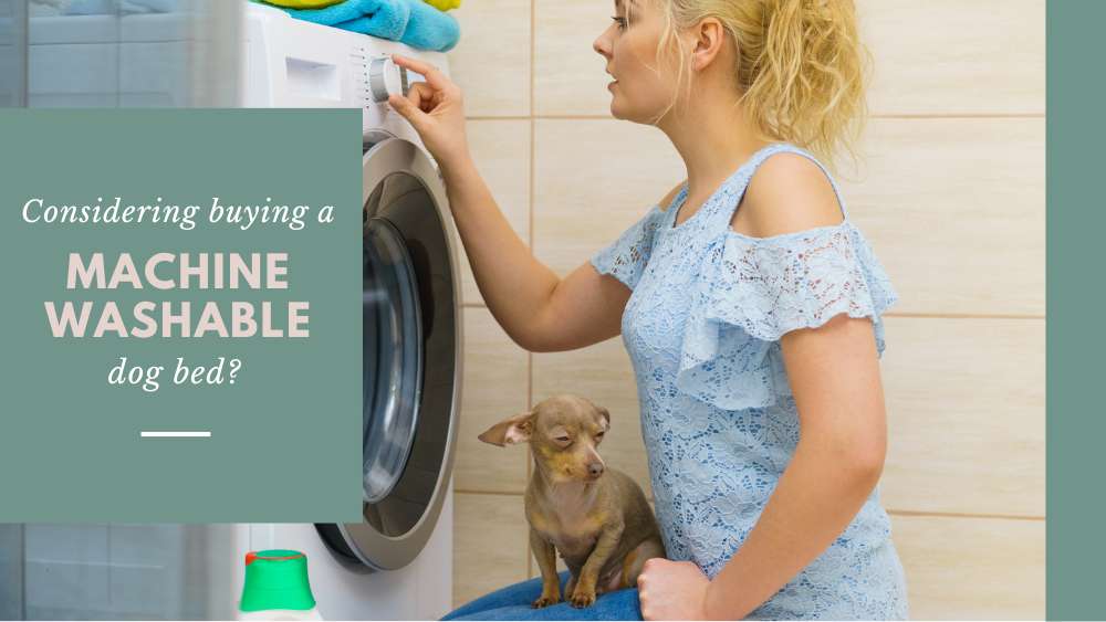 woman and dog looking at washing machine