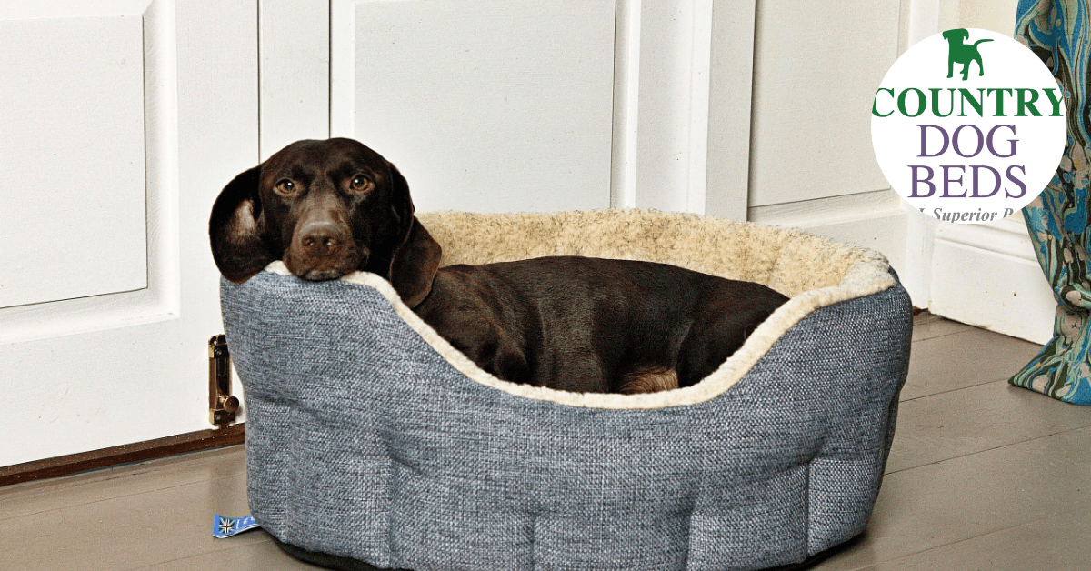 Best Waterproof Dog Bedding UK Made P L Country Dog Beds