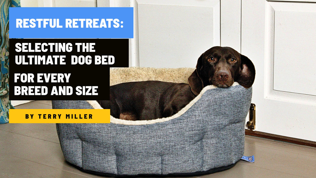 Restful Retreats: Selecting the Ultimate Dog Bed for Every Breed and Size