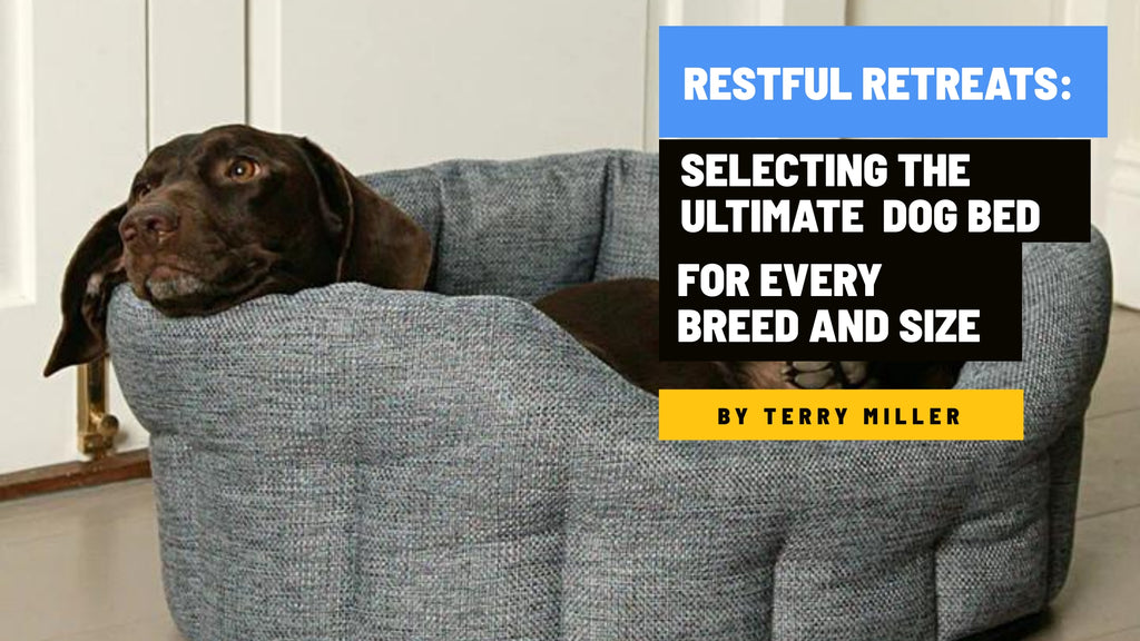 Large breed dog beds best sale