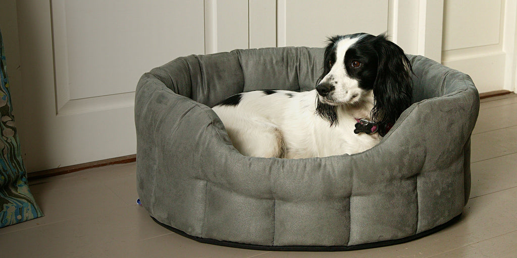 dog enjoying oval suede dog bed