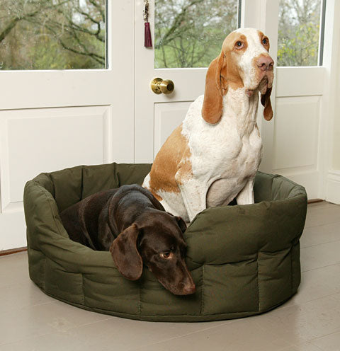 two dogs sitting in high sided waterproof dog bed
