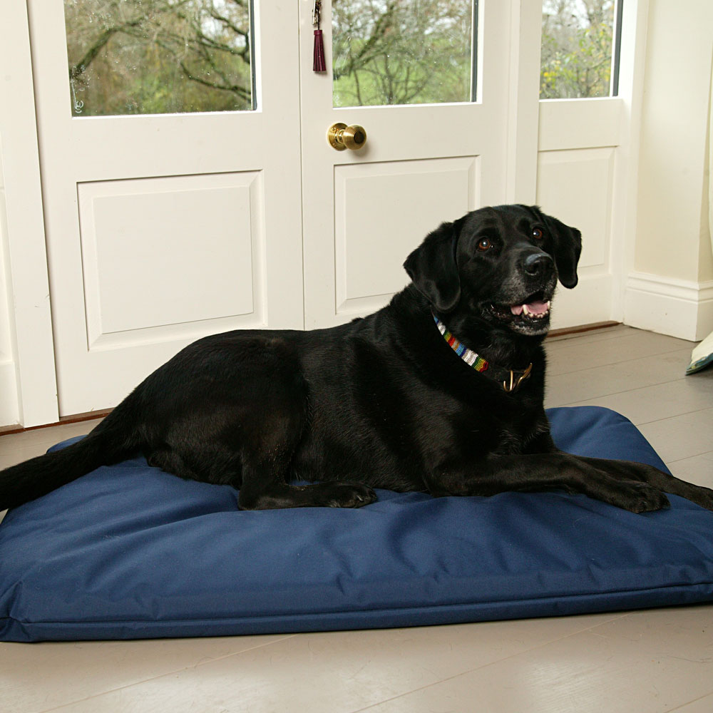 P&L Country Dog Heavy Duty Waterproof Duvet Dog Beds. Blue 2